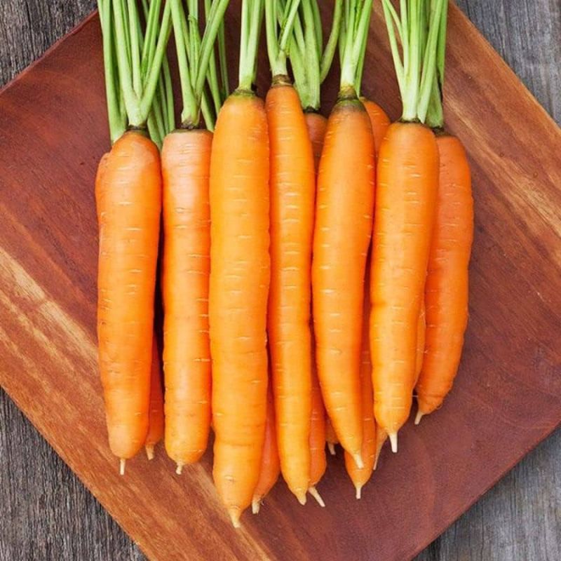 Premium Fresh Carrot
