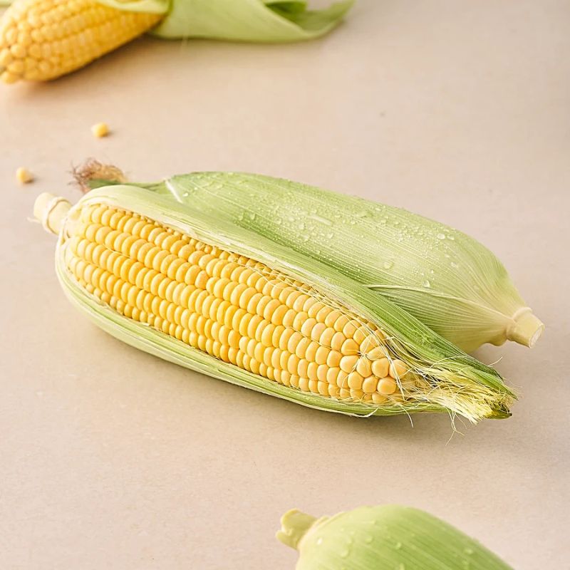 Premium Sweet Corn