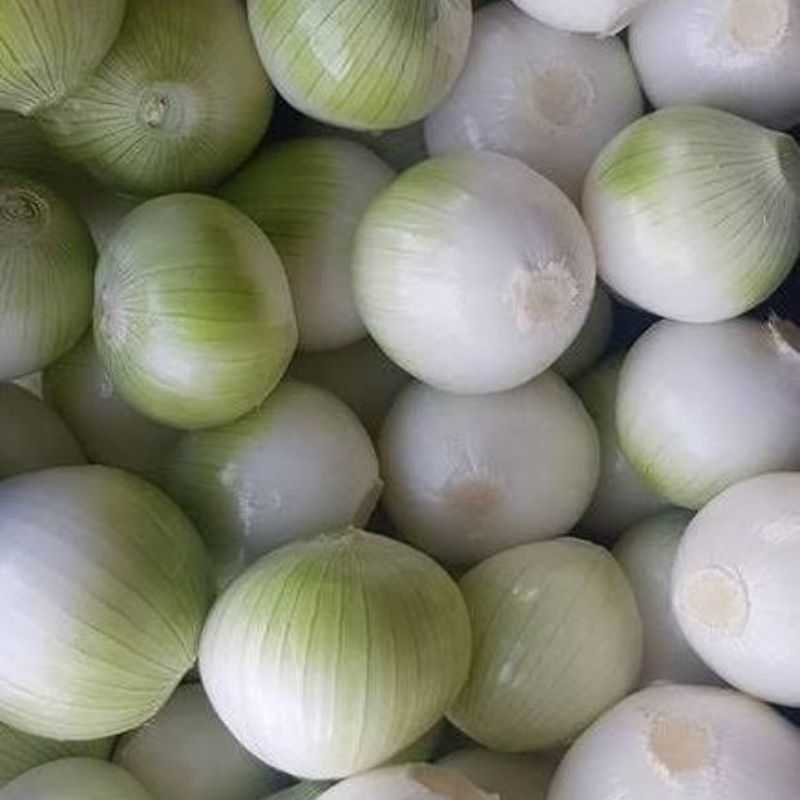 Premium White Onion
